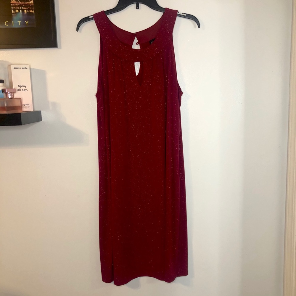 Sparkly red dress